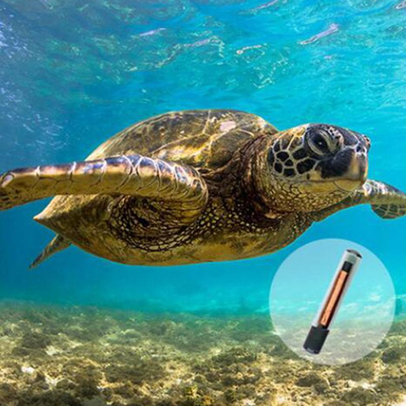 1,25 х 7 мм имплантированный микрочип-транспондер легкий шприц с чипом для кошек и собак, хомяков