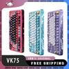 Игровая механическая клавиатура VALKYRIE VK75, 3 режима USB/2.4G/Bluetooth, настраиваемая клавиатура, игровая клавиатура с подсветкой RGB и возможностью горячей замены, подарок