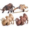 Export Simulation Forest Animal Model Solid Desert Mongolian Bimodal Camel Buffalo Sloth Model Ornament
