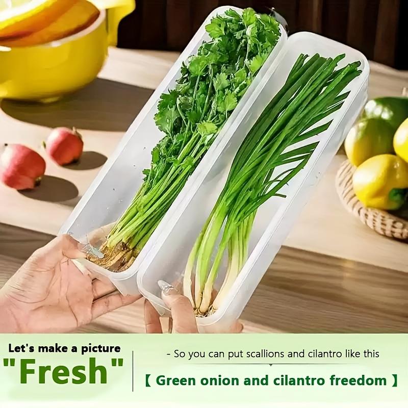 4/2pcs Rectangular Food Storage Box with Lid, Reusable Refrigerator Organizer, Stackable Durable Airtight Freezer Container