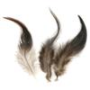 Rooster Feather, 10-15 Cm, 3 G, Dark Brown