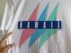 Vintage 90s Crazy Shirts Hawaii Tee: Surfboard Fashion