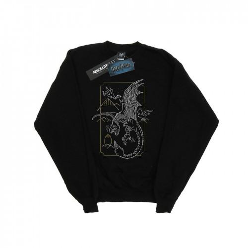 Harry Potter Mens Dragon Line Art Sweatshirt