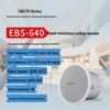 Потолочный громкоговоритель TAKSTAR EBS-640 Штепсель CN (адаптер в комплекте)