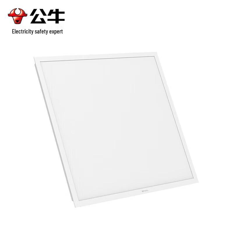 BULL Integrated Flat Panel LED Ceiling Light