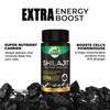 Zandu Shilajit Capsule, 60 capsules x Po2, Original and Pure Himalayan Shilajeet, Boosts Immunity, Strength and Stamina.