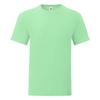 Fruit Of The Loom Mens Iconic 150 T-Shirt