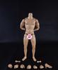 Toys Hobbies Action Figure COOMODEL COO Male Body Action Body Body Type & [TOYBARJAPAN] 1/6 BD001/02/03/04/07/08/09/10 (Muscular BD009)