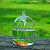 Handmade Transparent Glass Hanging Fish Vase Ornament