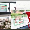 BELIK Emergency Exit Vehicle Safety Stickers