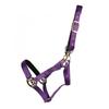 Hy Fieldsafe Horse Headcollar
