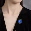 Beetle Brooch Creative Insect Brooch Niche Design Anti-Light Pin Suit Accessories