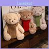 Soft Teddy Cute Bear Plush Toy For Room Decoration And Children Gift Birthdays