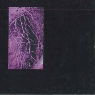 CD TSURUO - Tankasyu TSURUO001 НЕ ДЛЯ ЛЕЙБЛА Япония Оби Японская Поп/Рок Б/У