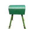 Gymnastics Vaulting Horse & Springboard Set