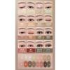 WAKEMAKE Палетка для век Soft Bluring Eye Palette (12 вариантов)
