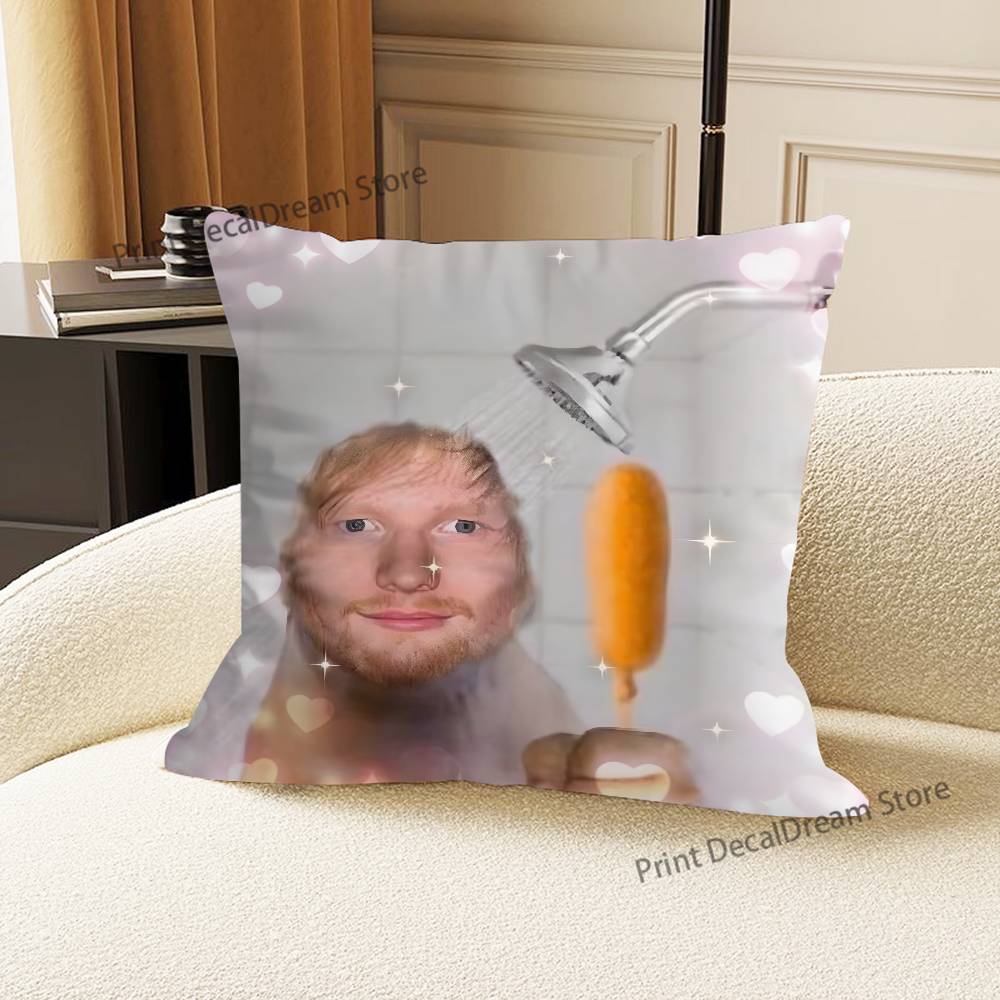 Ed S-Sheeran Singer Ablum Pillow Case For Sofa Decor Car Office Room Printing Cushion Cover Decorations and Protector
