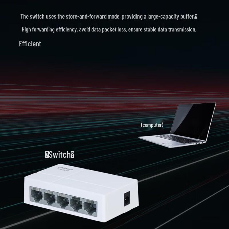 Dahua Unmanaged Ethernet Switch Series