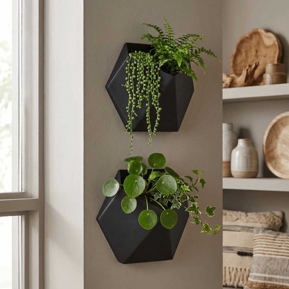 Wall-Mounted Hexagonal Flower Pot Geometric Growing Pots Wall Hanging Planter  Indoor Plants