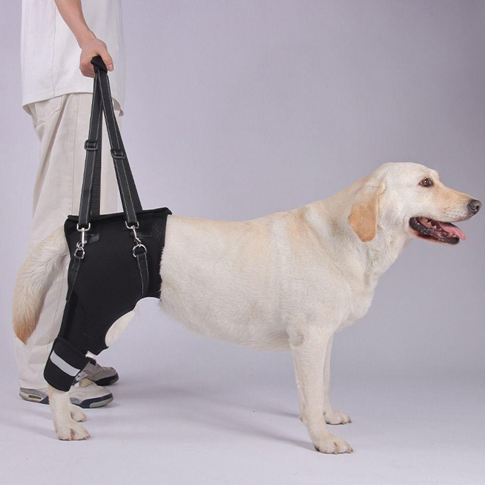 Legs Hip Support Dog Lift Harness Black Adjustable Dog Rear Leg Support Sturdy Handle Breathable Pet Aid Assist Tool