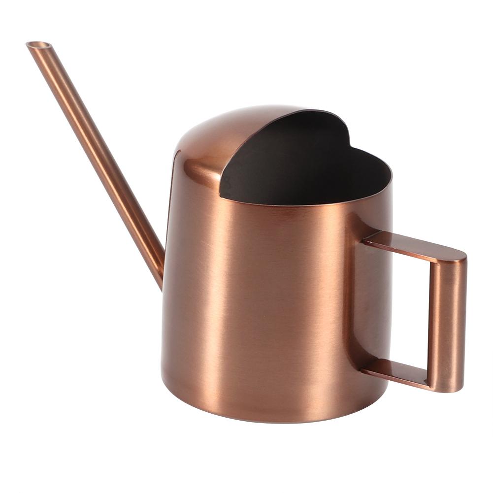 300ml Small Stainless Steel Watering Can Plant Flower Long Spout Sprinkling Pot for Home Use