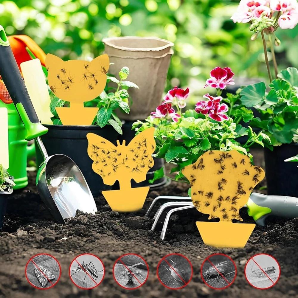 Ловушки для насекомых Защищают растение Двусторонние ловушки для мошек Нетоксичные и без запаха Липкие доски Ловушки для садовых растений Кухни