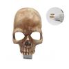 Unique Human Skull Lamp Halloween Party Gothic Skeleton Skull Plug Into Wall Night Light Bedroom Horror Decorations
