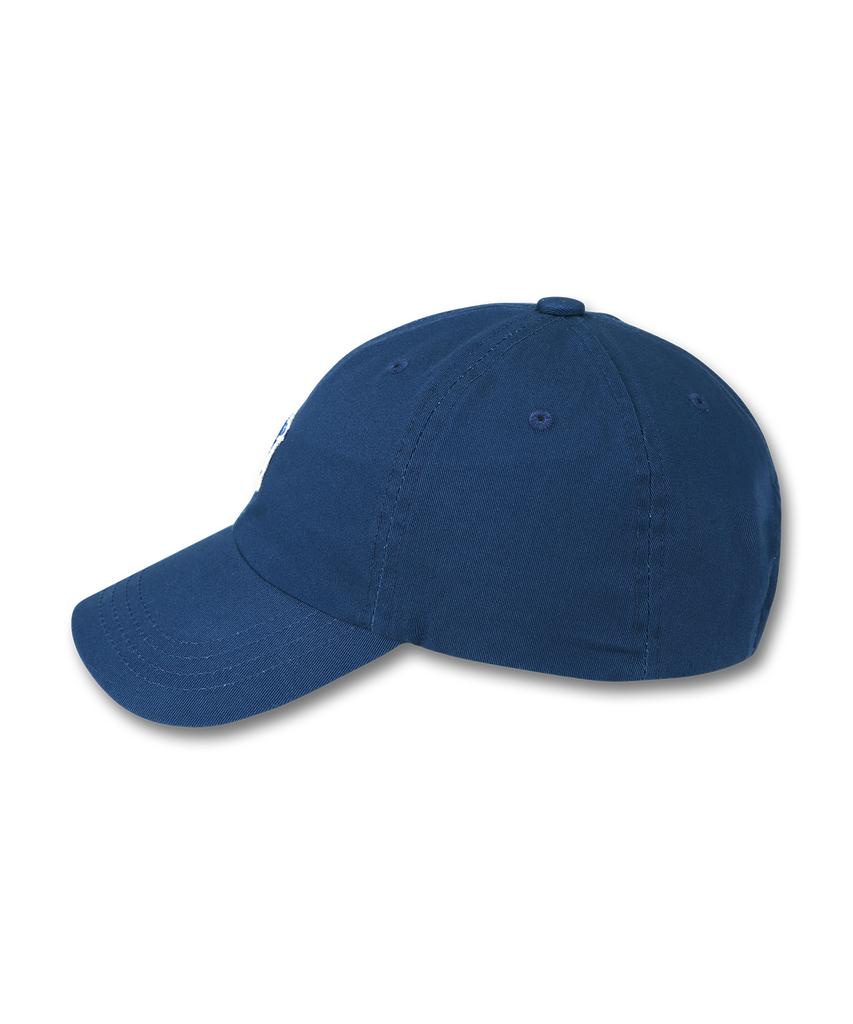 DOLPHIN WAVE APPAREL Кепка-бейсболка с вышивкой Dolphin Mini Глубокий синий