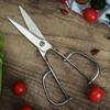 Detachable Barbecue Scissors Korean Style Kitchen Scissors Ramen Scissors Restaurant