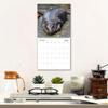Moo Deng Calendar 2026 Pygmy Hippo Wall Calendar Monthly Planner Hanging Hippopotamus Calendar Gift for Hippo Lovers