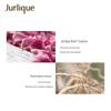 Jurlique Rose Balancing Floral Mist