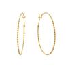 Hoop 14K Gold Filled Earrings, (GF) [0852300166]