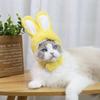 Шляпа для кошки, кролика, собаки, маленькие и средние собаки, плюшевый мишка, головной убор, принадлежности