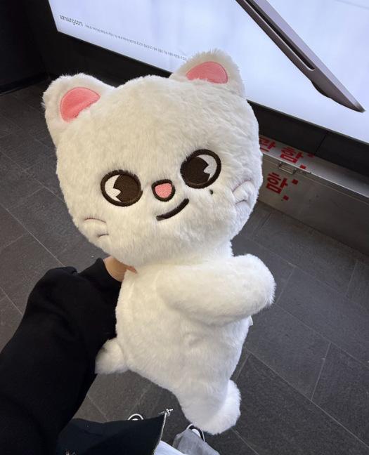 New Plush Animal Doll Crossarm Bag Anke Pop up Week SKZ Fans K-pop Birthday Gift Children Adult Gift Decoration