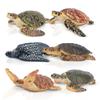 Набор из 6 фигурок черепах TOYMANY, набор морских животных, реалистичные модели животных для любителей черепах, популярные игрушки с животными, подарки на день рождения, Рождество, новинка