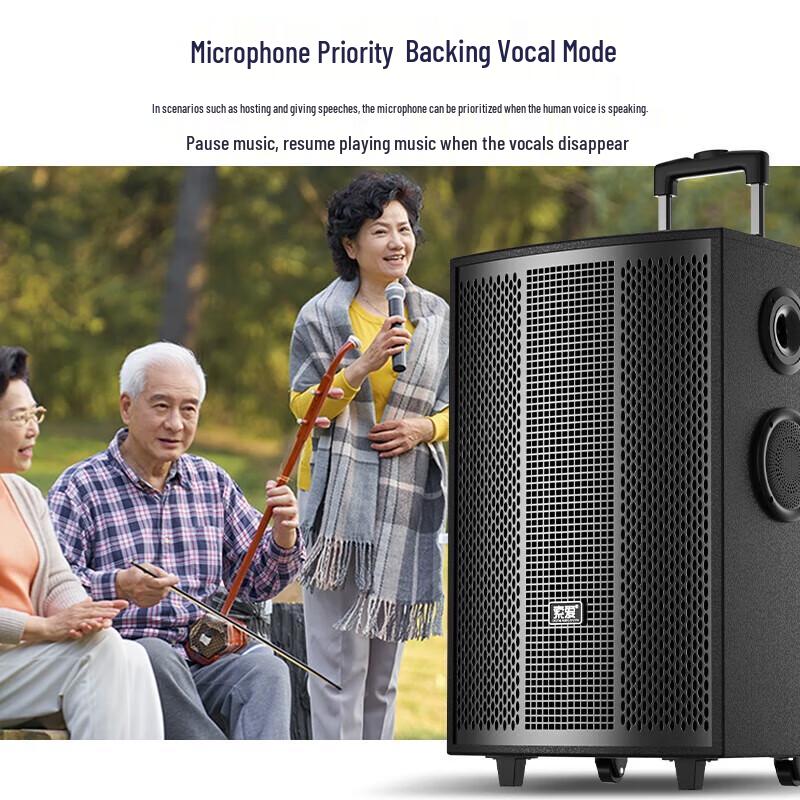 Suoai SA-X72 8-дюймовая портативная караоке-колонка с двумя микрофонами