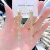 Fashion Women Clear Rhinestone Long Tassel Earrings 925 Silver Needle Temperament Earring Luxury Lady Party Drop Earrings
