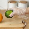 100pcs Disposable Gloves Transparent Plastic PE Kitchen Gloves Protect Catering Cosmetology Housework Food Kitchen Clean TMZ