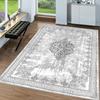Washable Printed Carpet LNA0048-SD1127
