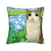 Frutiger Aero Art Pillow Case  Print Pillow Cover For Sofa Home Decoration Novelty Pillowcases