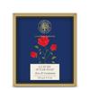 Forest Essentials Rose and Cardamom Luxury Sugar Soap, 125g