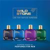 Wild Stone Hero Eau De Parfum For Men 100ml Long Lasting Luxury Fragrance With Woody Marine Notes Ideal Gift Perfume For Him