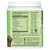 Classic Protein, Chocolate, 13.2 oz (375 g)