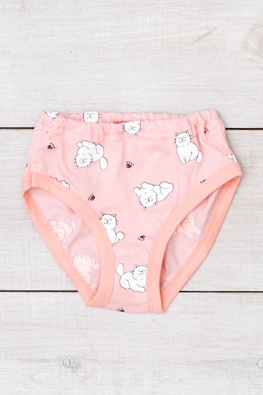 Panties (Girls) Any Season 272-002V HC