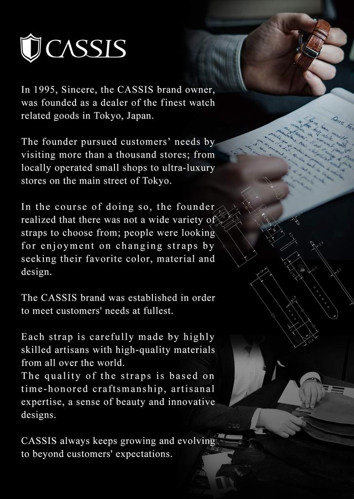 Replacement Calfskin Leather Watch Band for SKAGEN 233 Series (SKG, Cassis) with Replacement Tool, 22mm, Dark Blue