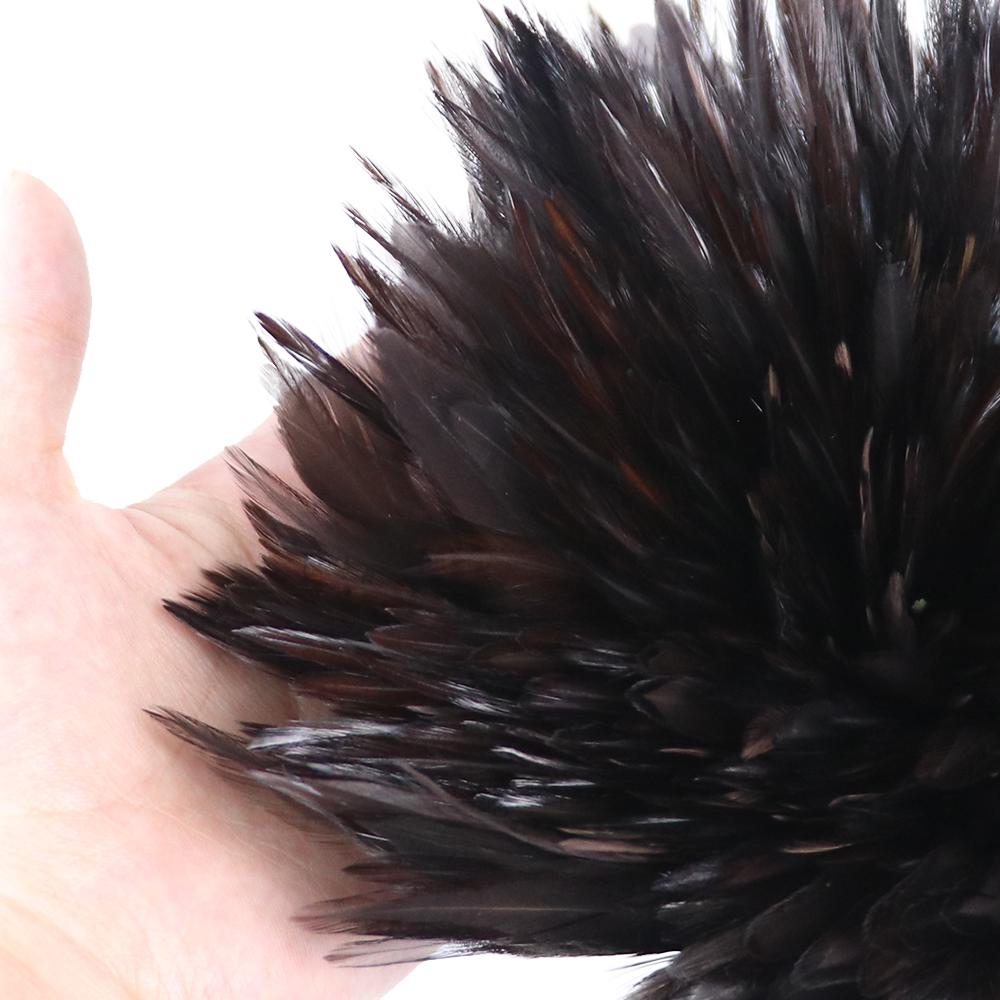 Петушиные перья лот 4-6 дюймов Карнавальная одежда Швейные принадлежности Ювелирные изделия Поделки Украшение Седло Хекл Петух Курица Плюмас