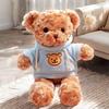 Plush Teddy Bear Gift Set: Birthday Ring Toss Doll & Sweater Bouquet, Perfect for Children's Day