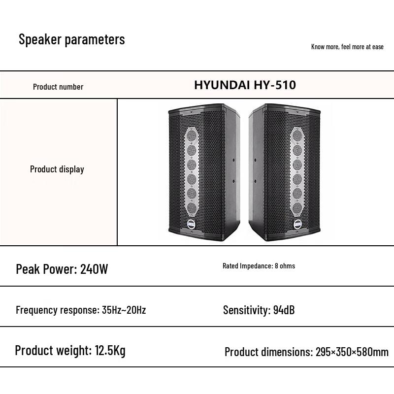 Активный KTV-динамик Hyundai HY-510 Dual 10 дюймов, штекер CN (адаптер в комплекте) (Китайская версия)