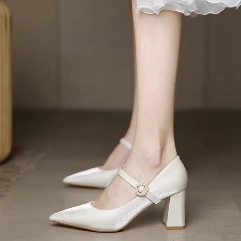 2025 Женская обувь Мэри Джейн Женские туфли на высоком каблуке Модные туфли-лодочки Женские туфли с острым носком и пряжкой на ремешке на толстом каблуке Женские