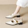Pointed Single Shoes Women's Thick Heel with Shallow Mouth Mary Jane Shoes Temperament High Heels